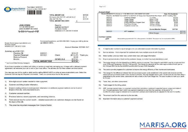 Blank USA Empire District Electric Company utility bill template in Word and PDF format (2 pages)